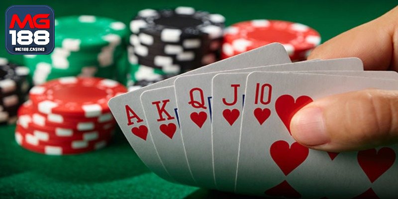 Danh sách thuật ngữ cần biết đến