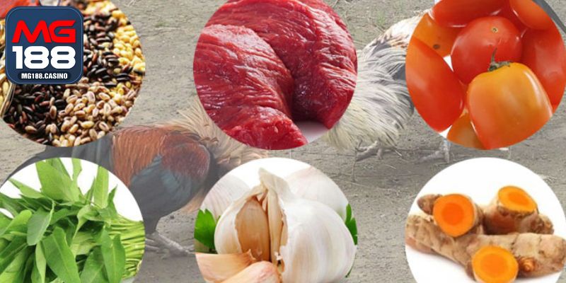 Chú trọng vào việc xây dựng thực đơn cho gà