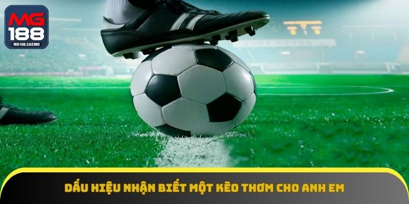 Điểm danh một số mẹo giúp bạn nhận diện kèo thơm