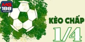 Giải Mã Kèo 1/4 Và Kinh Nghiệm Bắt Kèo Nên Học Hỏi