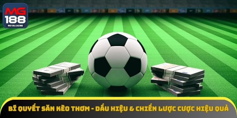 Bí Quyết Săn Kèo Thơm - Dấu Hiệu & Chiến Lược Cược Hiệu Quả
