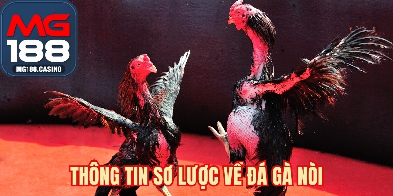 Thông tin sơ lược về đá gà nòi